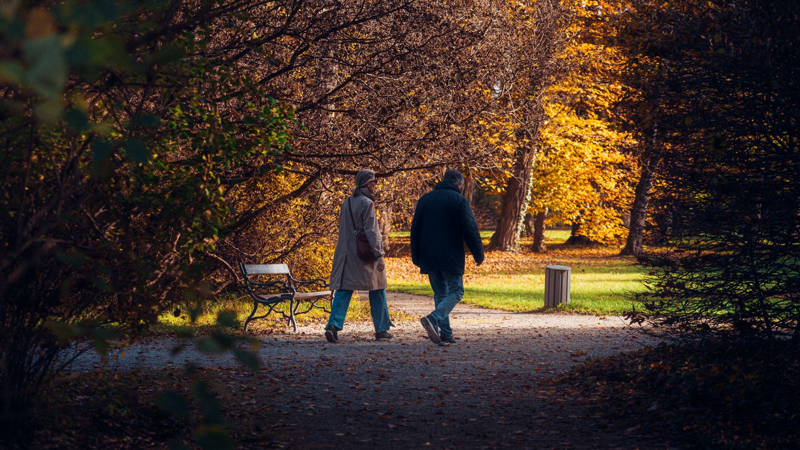 Pareja de jubilados caminando por un parque en otoño